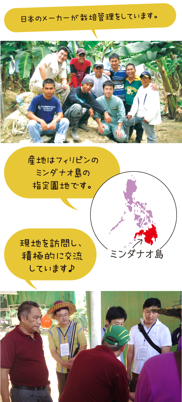 日本のメーカーが栽培管理をしています。産地はフィリピンのミンダナオ島の指定園地です。現地を訪問し、説教的に交流しています♪