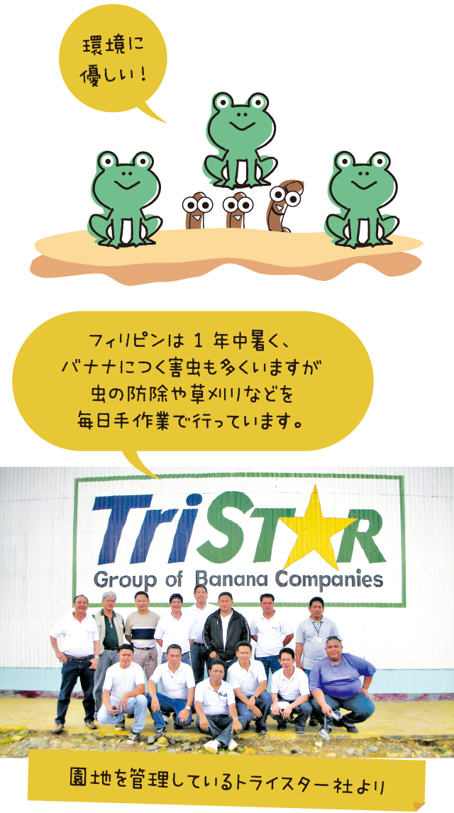 環境に優しい！　フィリピンは1年中暑く、バナナにつく害虫も多くいますが虫の防除や草刈りなどを毎日手作業で行っています。