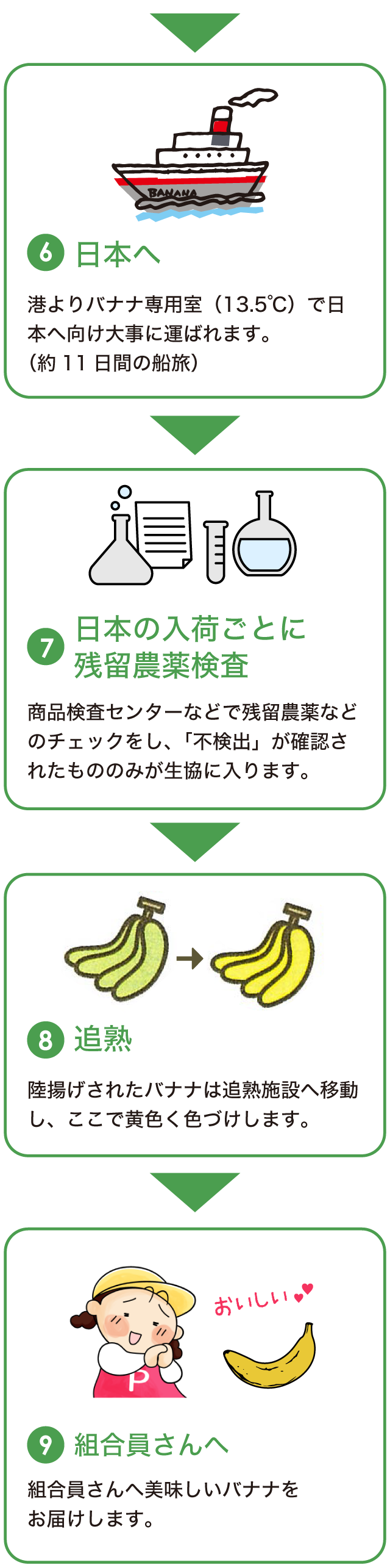 フィリピンバナナ｜登録バナナについて｜登録商品｜生活協同組合