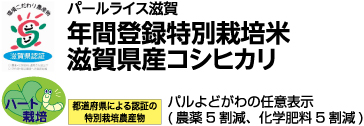 滋賀県産 コシヒカリ