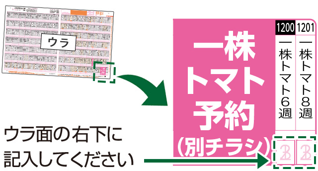 ウラ面の右下に記入してください