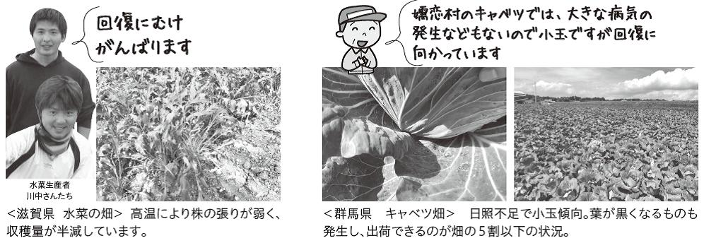 20200814_2.jpg