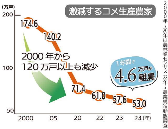 激減するコメ生産農家 グラフ