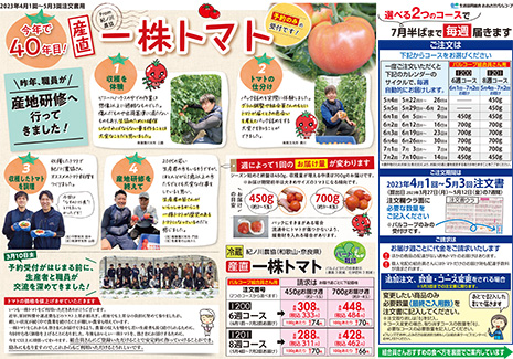 チラシ表面