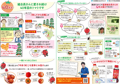チラシ裏面