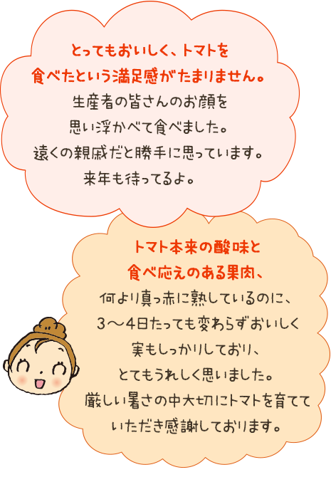 とってもおいしく、トマトを食べたという満足感がたまりません
