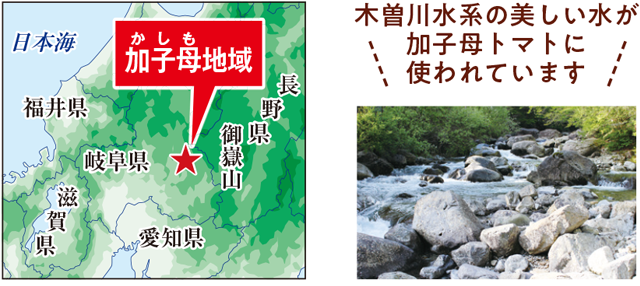 木曽川水系の美しい水が加子母トマトに使われています
