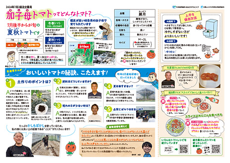 チラシ裏面