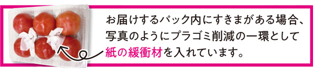 お届けするパック内にすきまがある場合、写真のようにプラゴミ削減の一環として紙の緩衝材を入れています。