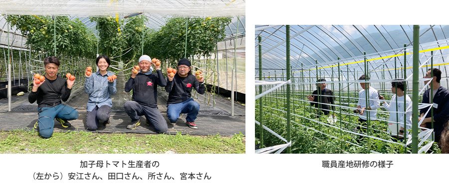 加子母トマト生産者の(左から)安江さん、田口さん、所さん、宮本さん