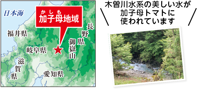 木曽川水系の美しい水が加子母トマトに使われています