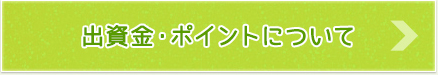 出資金について