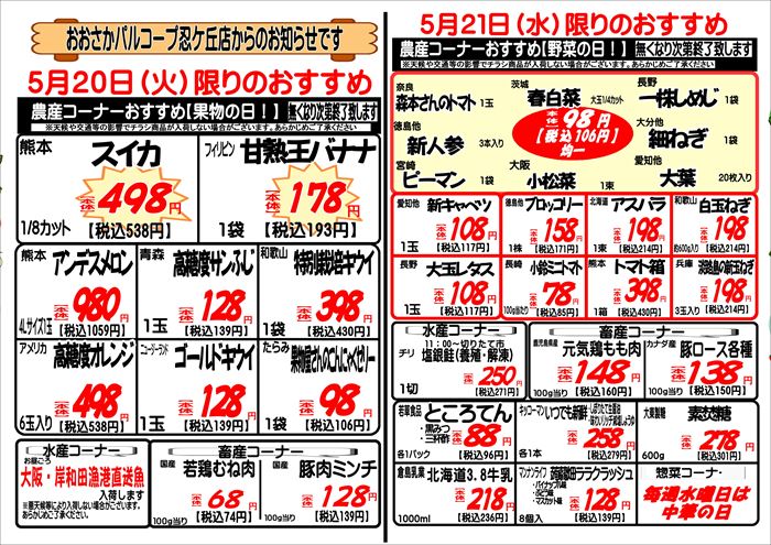 5.20sinobu_R.JPG