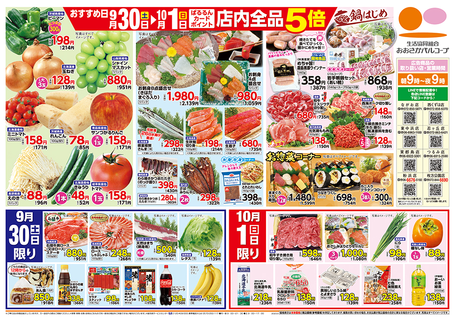 チラシ裏面