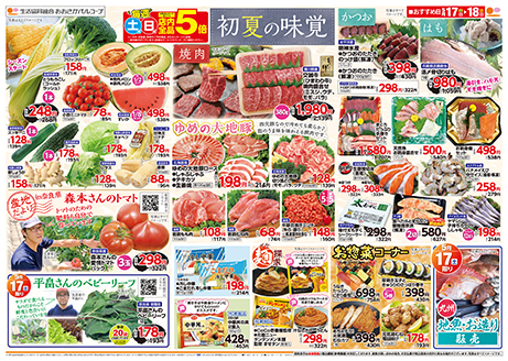 チラシ表面