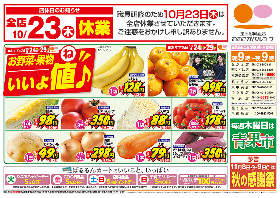 チラシ裏面
