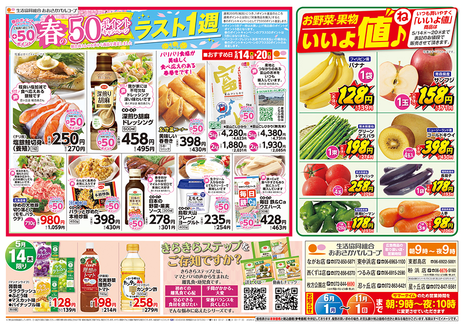 チラシ裏面
