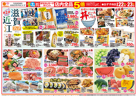 チラシ表面