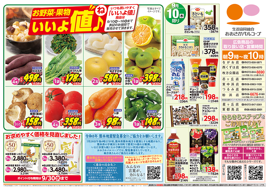チラシ裏面
