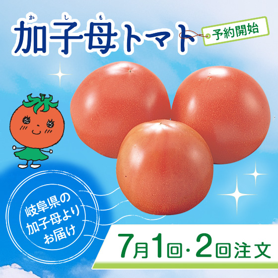 加子母トマト