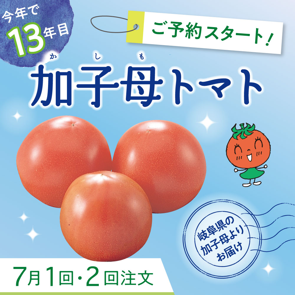 加子母トマト